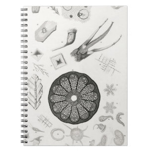 Microscopic Objects Notebook