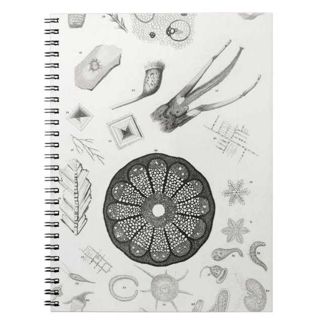 Microscopic Objects Notebook (Front)