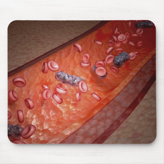 Microscopic rendering of a blood infection mouse mat (Front)