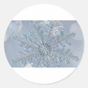 Microscopic Snowflake Classic Round Sticker