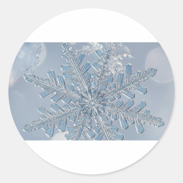 Microscopic Snowflake Classic Round Sticker (Front)