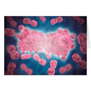 Microscopic View Of A Group Of Leukaemia Cell