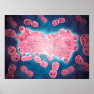 Microscopic View Of A Group Of Leukaemia Cell Poster