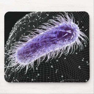 Microscopic view of a helicobacter pylori cell mouse mat
