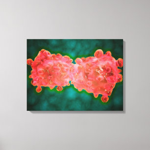 Microscopic View Of A Leukaemia Cell Canvas Print