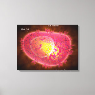 Microscopic View Of A Mast Cell Canvas Print