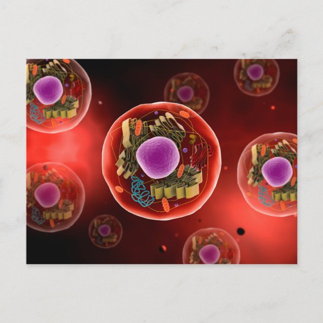 Microscopic View Of Animal Cell 2 Postcard (Front)
