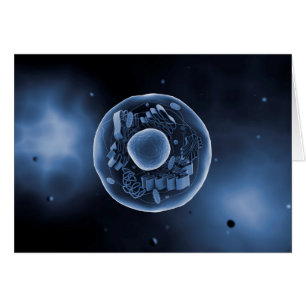 Microscopic View Of Animal Cell 3