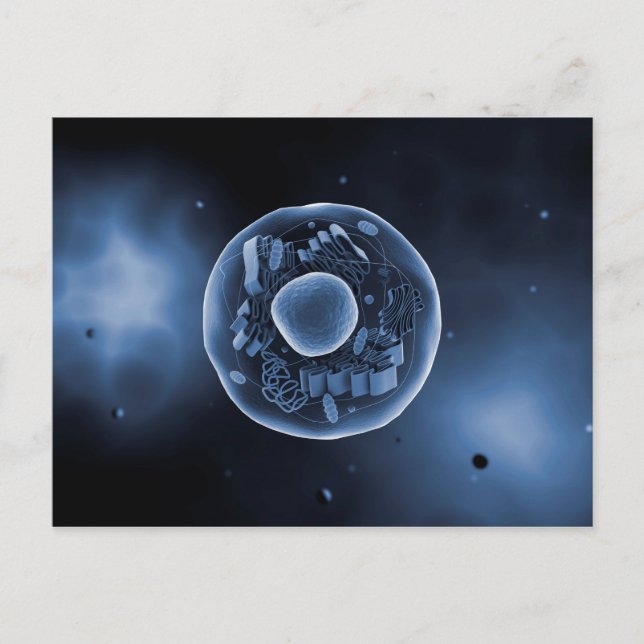 Microscopic View Of Animal Cell 3 Postcard (Front)