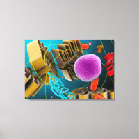 Microscopic View Of Animal Cell Nucleus