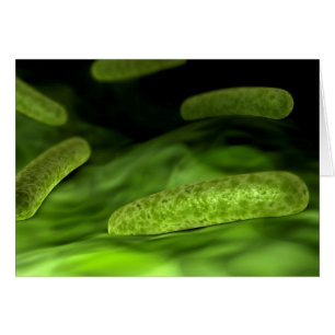 Microscopic View Of Bacteria 1