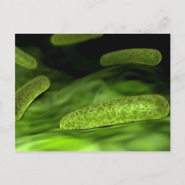 Microscopic View Of Bacteria 1 Postcard (Front)