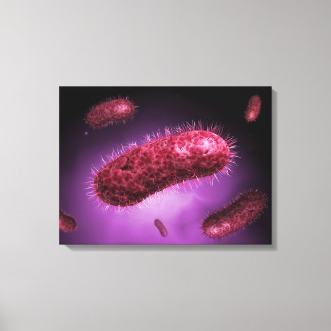 Microscopic View Of Bacteria 2 Canvas Print (Front)