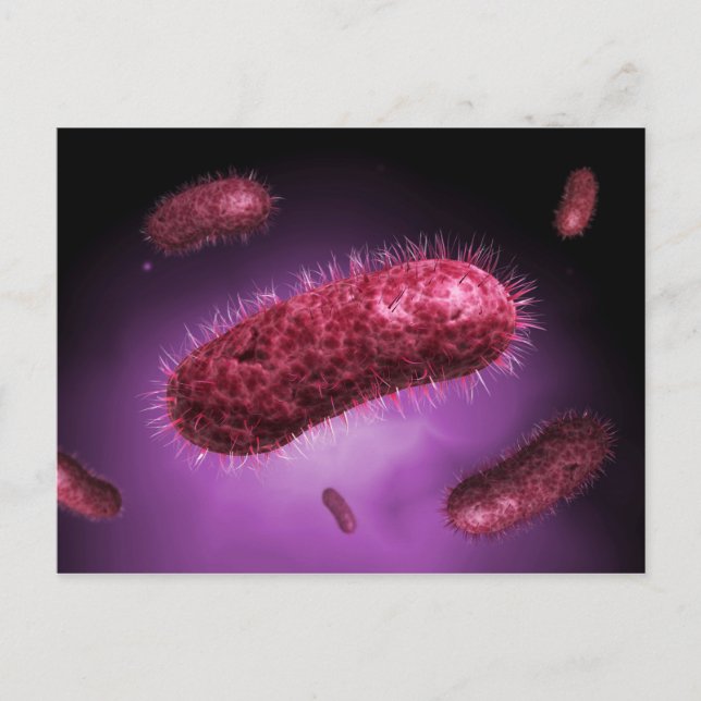 Microscopic View Of Bacteria 2 Postcard (Front)