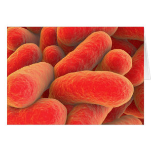 Microscopic View Of Bacteria 4