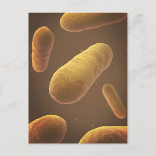 Microscopic View Of Bacteria 5 Postcard