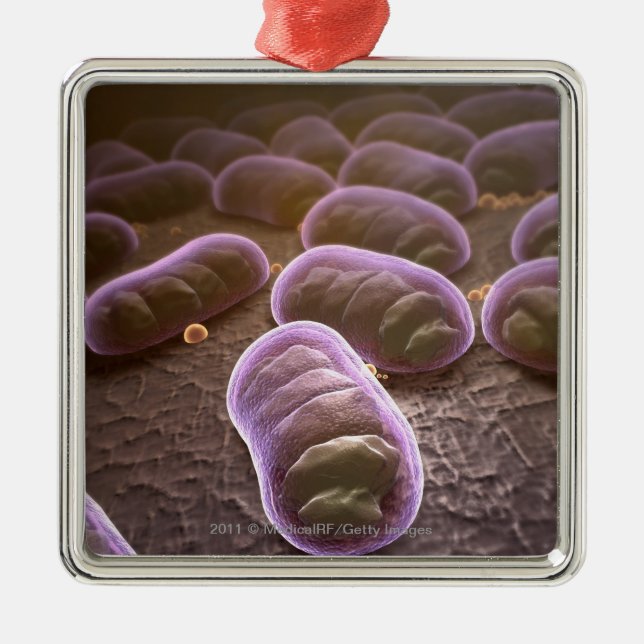 Microscopic view of bacteria metal tree decoration (Front)