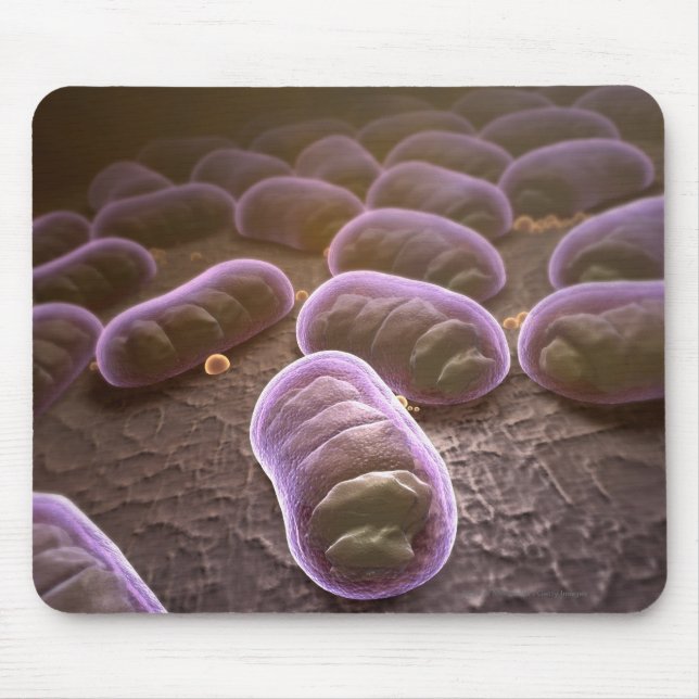 Microscopic view of bacteria mouse mat (Front)