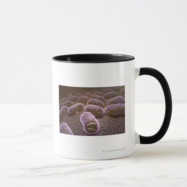 Microscopic view of bacteria mug (Right)