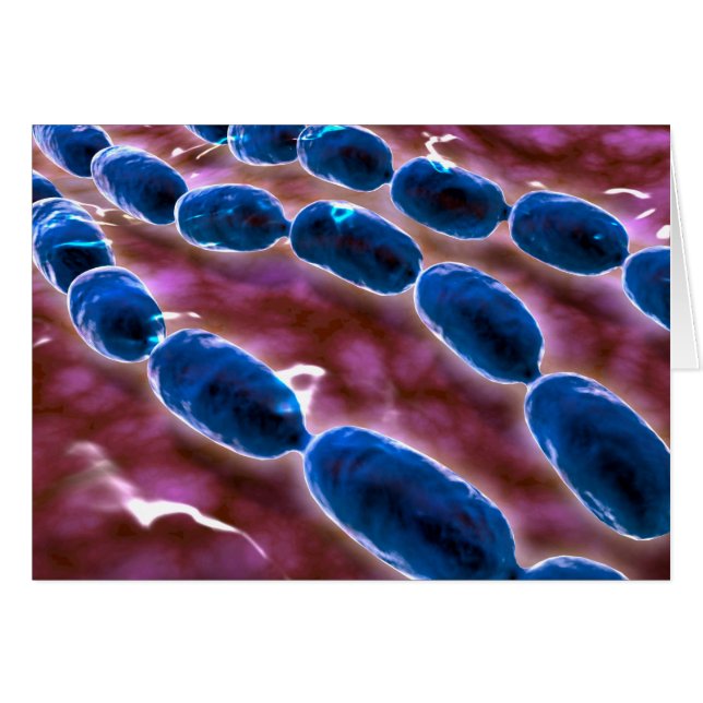 Microscopic View Of Bacterial Pneumonia 1 (Front Horizontal)