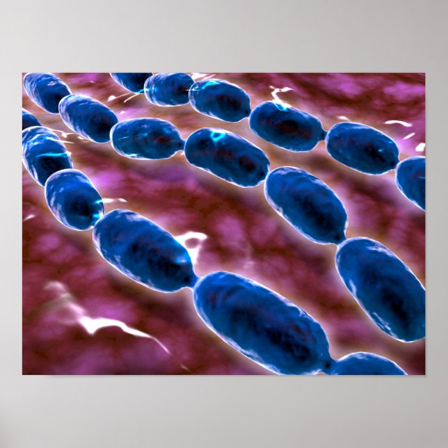 Microscopic View Of Bacterial Pneumonia 1 Poster (Front)