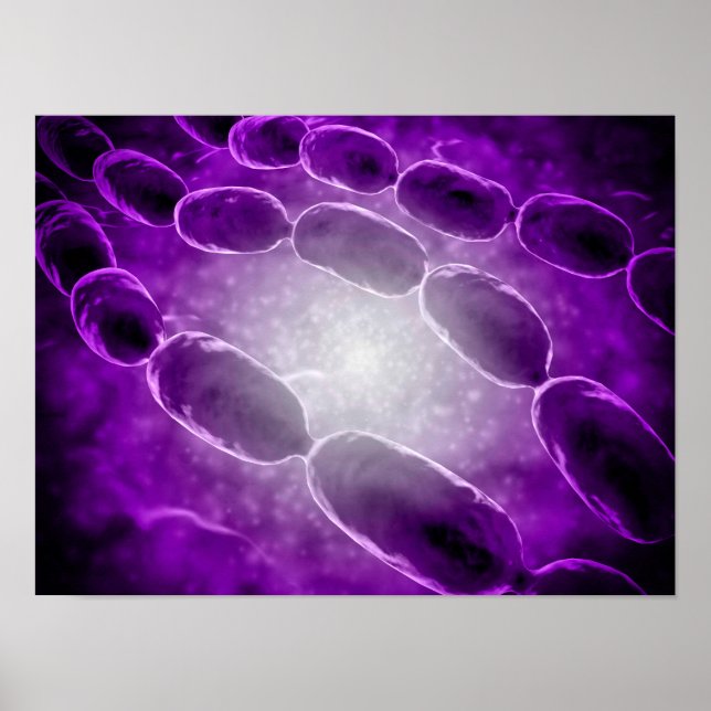 Microscopic View Of Bacterial Pneumonia 2 Poster (Front)