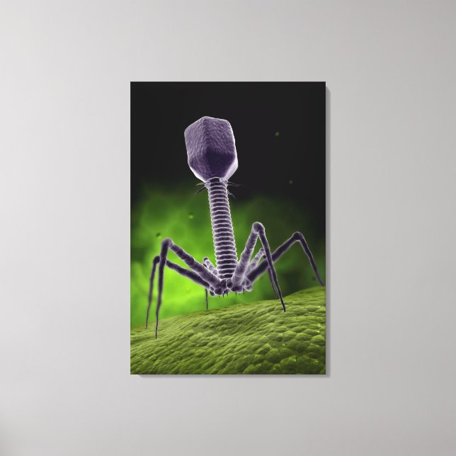Microscopic View Of Bacteriophage Canvas Print (Front)