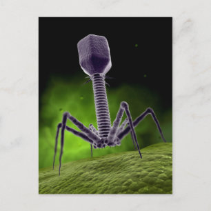 Microscopic View Of Bacteriophage Postcard