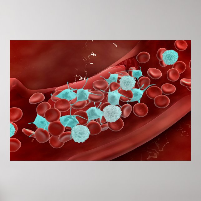 Microscopic View Of Blood Clotting Poster (Front)
