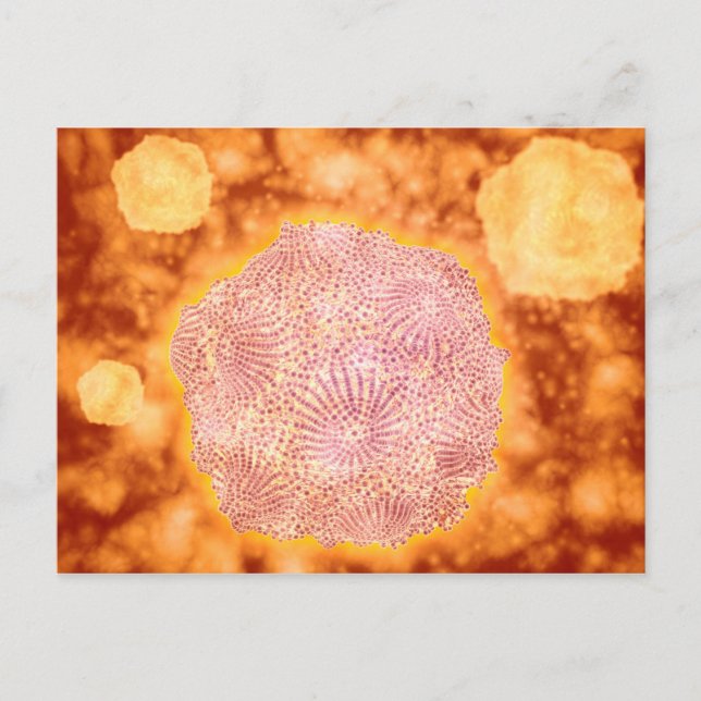 Microscopic View Of Canine Parvovirus 1 Postcard (Front)