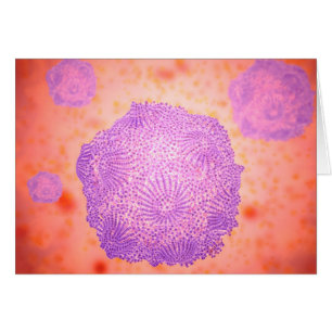 Microscopic View Of Canine Parvovirus 2