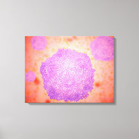 Microscopic View Of Canine Parvovirus 2