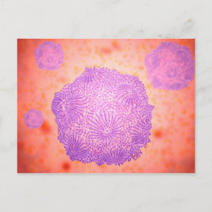 Microscopic View Of Canine Parvovirus 2 Postcard