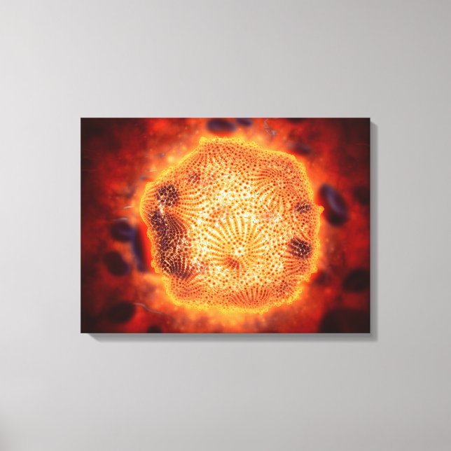 Microscopic View Of Canine Parvovirus 4 Canvas Print (Front)