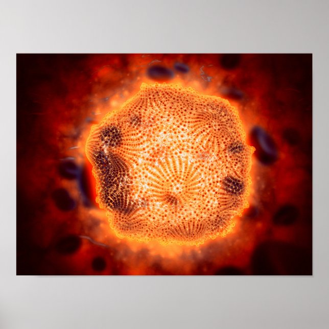 Microscopic View Of Canine Parvovirus 4 Poster (Front)