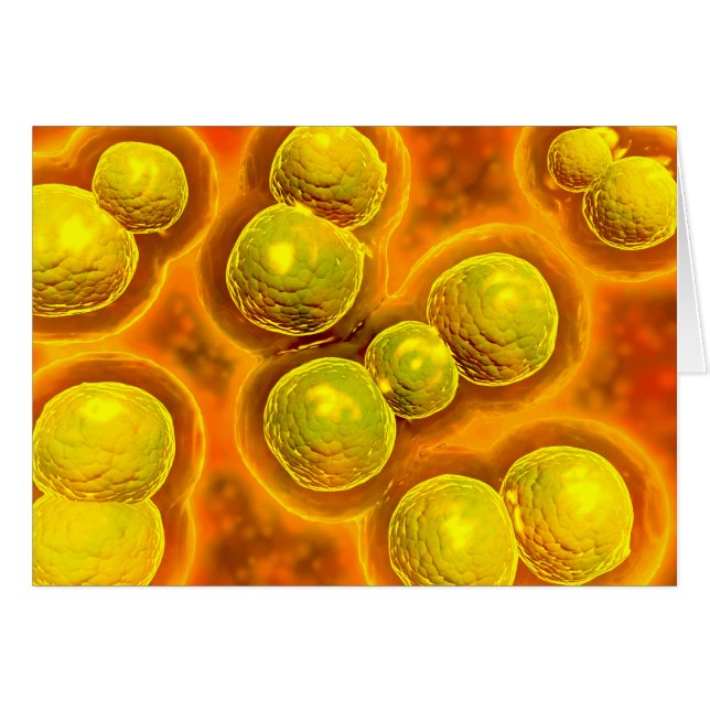 Microscopic View Of Chlamydia (Front Horizontal)