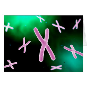 Microscopic View Of Chromosome 2