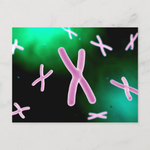 Microscopic View Of Chromosome 2 Postcard