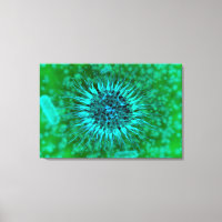 Microscopic View Of Dendrimers 3