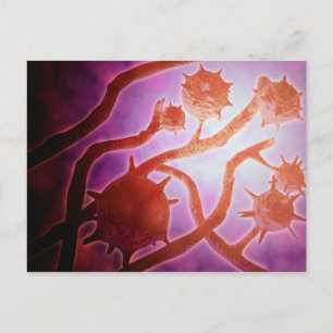 Microscopic View Of Histoplasmosis Postcard