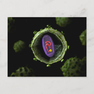 Microscopic View Of HIV Virus, Cross Section Postcard
