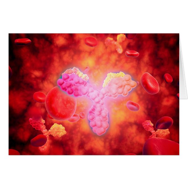 Microscopic View Of Human Anitbodies (Front Horizontal)