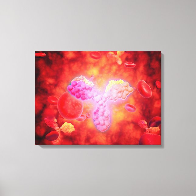 Microscopic View Of Human Anitbodies Canvas Print (Front)