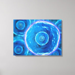 Microscopic View Of Human B-Cells 1 Canvas Print