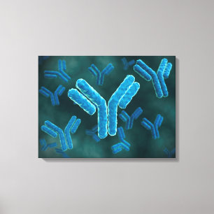 Microscopic View Of Immunoglobulin G Molecules. Canvas Print
