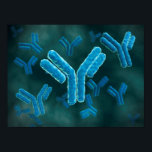 Microscopic View Of Immunoglobulin G Molecules. Poster<br><div class="desc">Microscopic view of immunoglobulin G molecules.</div>