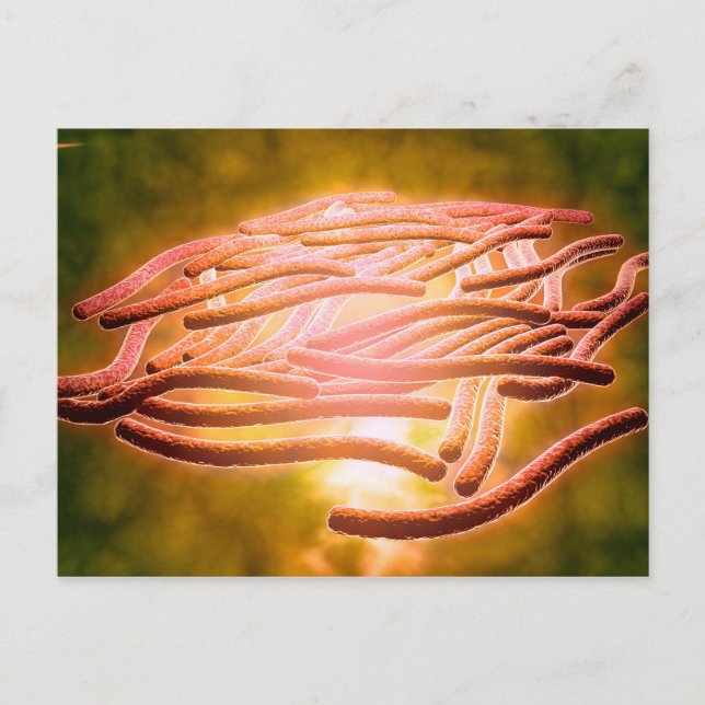 Microscopic View Of Legionella Pneumophila 2 Postcard (Front)