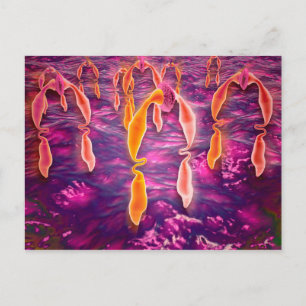 Microscopic View Of Ligand Binding To A Receptor Postcard