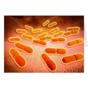 Microscopic View Of Listeria Monocytogenes 1