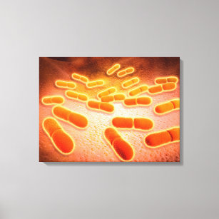 Microscopic View Of Listeria Monocytogenes 1 Canvas Print